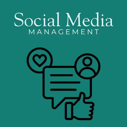social media management